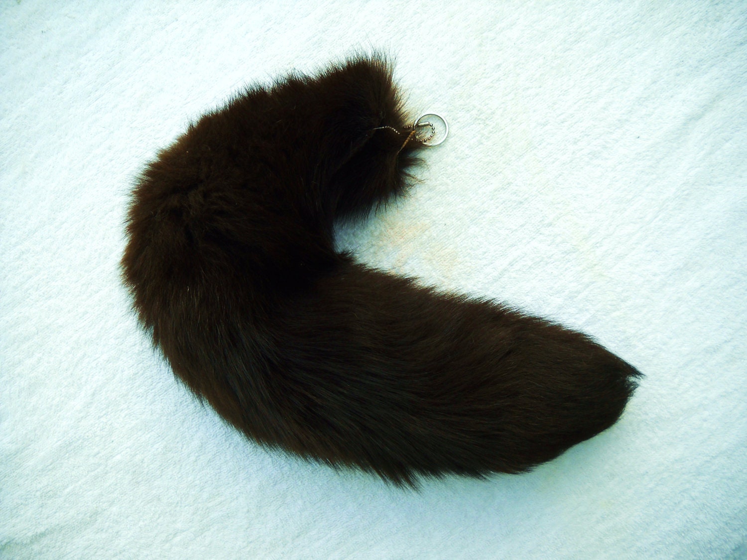 17" to 20" Dark Chocolate Fox Fur Tail Real Furry Brown Tails with Keychain Key Ring Ornament for Purse, Anime Costume, Etc