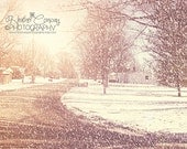 Winter photography, snow photo, cozy home, wall decor, ivory, cream, white Christmas, Holiday, minimalist, rustic, 8x10 photograph