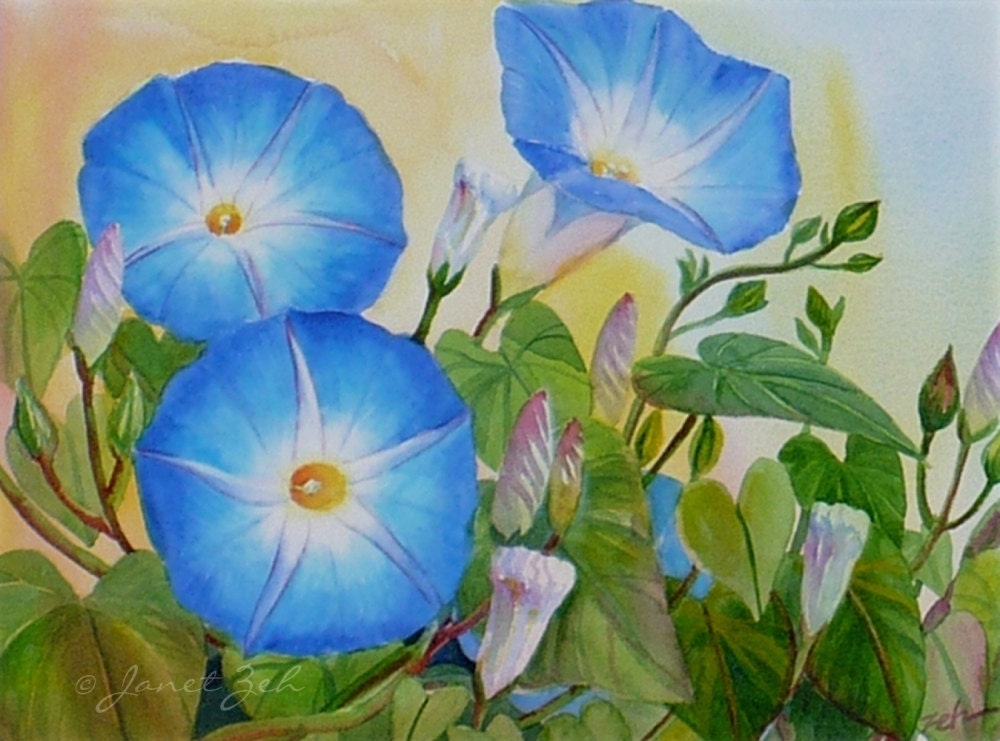 Blue Flower Painting Morning Glories Framed Art Janet Zeh