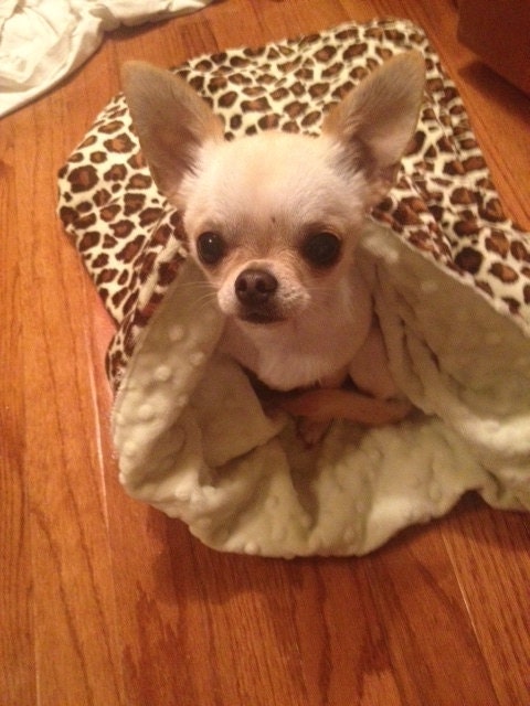Snuggle Sack  - Designer Minky Dog Snuggle, Dog Blanket, Dog Cuddle, Soft Pet Sleeper