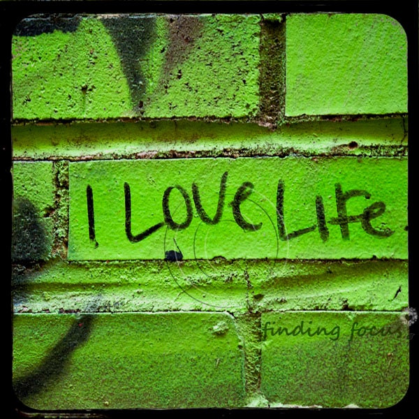I Love Life Key Lime Kelly Green Black Brick Urban Graffiti Photo, TtV Street Art Gift Idea Inspirational Home Decor 10x10 Quote Photograph