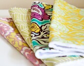 Boutique Burp Cloths Set of 2--Minky Backing (Ready-to-Ship, Great Shower Gift, Baby Girl)