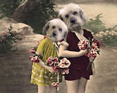 Donnie and Marie - Vintage Dog 5x7 Print - Altered Photo - Anthropomorphic - Whimsical Art - Photo Collage -  Funny Animal Print