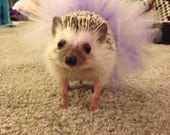Custom Hedgehog Tutu