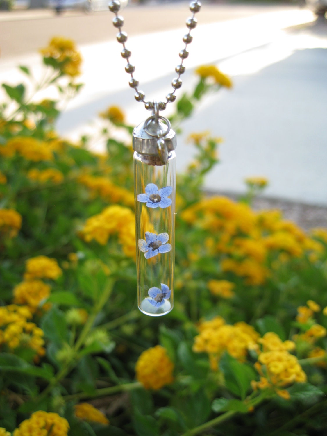 Forget Me Not Glass Vial Pendant with Three Real Forget Me not Flowers
