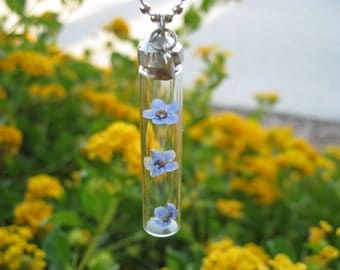 Forget Me Not Glass Vial Pendant with Three Real Forget Me not Flowers