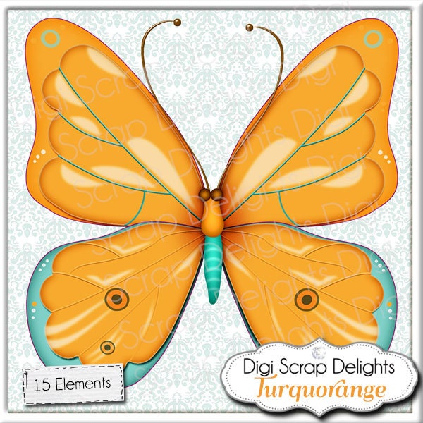 Baby Owls, Turquoise Orange for Baby Birthday Digital Clip Art for Scrapbooking, Card Making, Invites, Crafts, Instant Download