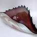 Vintage Hand Blown GlassShell Shaped Bowl