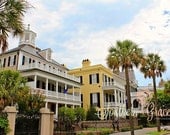 Charleston's Battery - The Battery - Southern Houses - Charleston, South Carolina - Palmetto Trees - Charleston Photography - 8x10 Photo