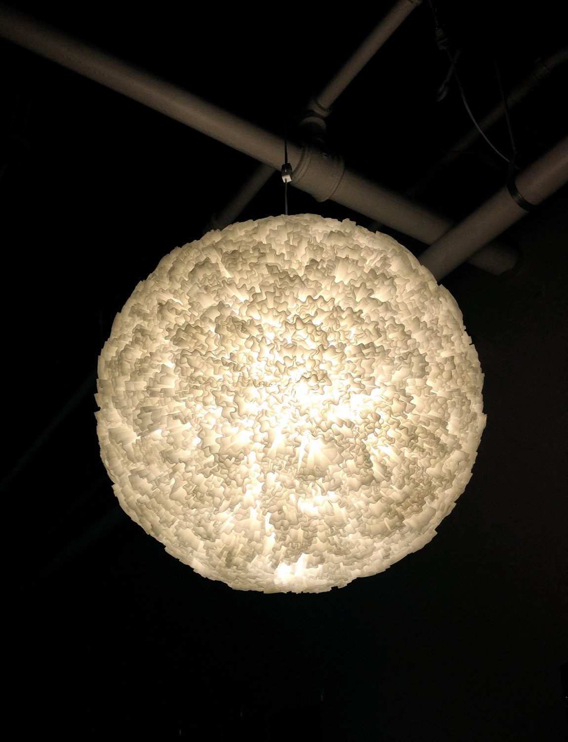 Allium Lantern