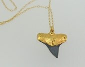 Shark tooth Petite necklace with 24k gold edging Limited Edition
