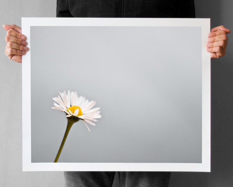 Minimalistic Daisy Photography - 16x20, Titanium Gray Daisy Flower Print, Wall Decor Print, Geometry Lines Grey Square