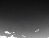 Minimalist Trees on a Hill, 8x12" black and white fine art photograph