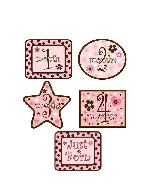 Baby Monthly Onesie Ironon  Transfers Pink and Brown Girly Transfers R1 Plus Just Born