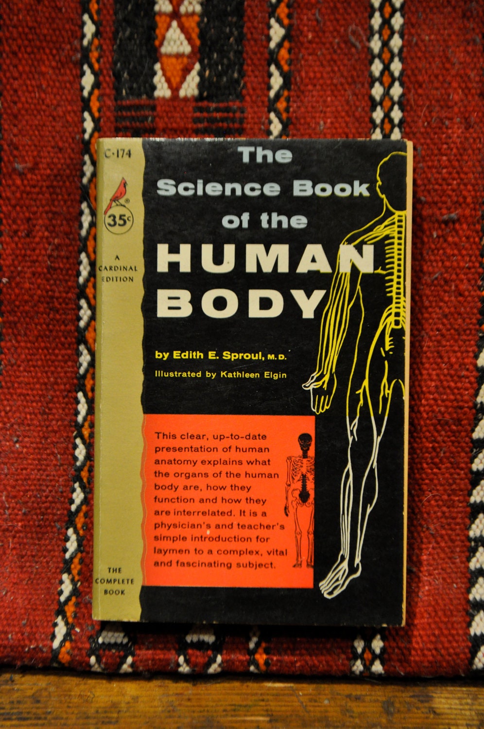 50's Science of the Human Body Paperback