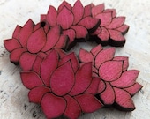 10 Hot Pink WATER LILIES Lotus Flowers