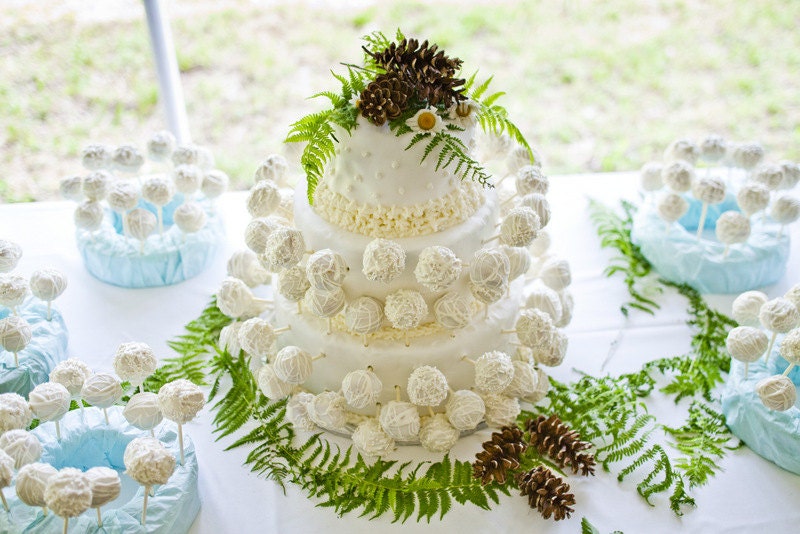 Cake pops -  Balls of Cake - Wedding Favors -Chocolate favors - Shower Favors