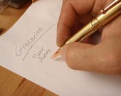 Bullet Pen 308