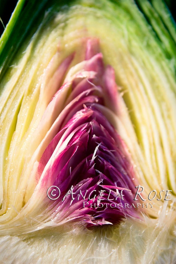 Artichoke Still Life Fine Art Print - 8 x 12 - Kitchen Art Wall Decor - Color - Food Photography - Pink, Yellow, Green - Vegetable Print
