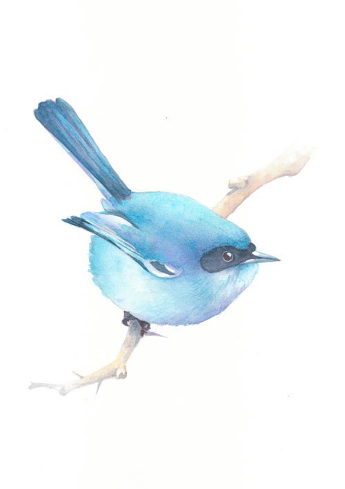 Bird, animal, bird art, bird painting, Watercolor, original watercolor painting,  wall art decor, Splendid Fairy Wren-watercolor painting