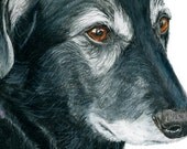 Labrador Mix Dog Art Print: Fine Art Giclee Signed by Deb Gardner - 8x10