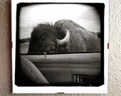framed 8x8 Holga photo