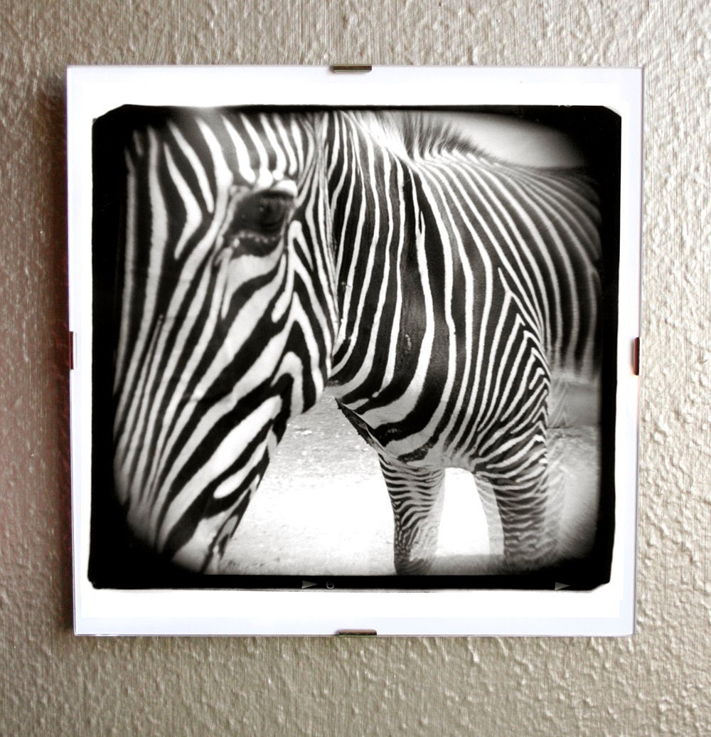 framed 8x8 Holga photo