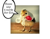 Your Choice Mixed Greeting Card Set Chick in Hat Photo Note Cards Envelopes (4)