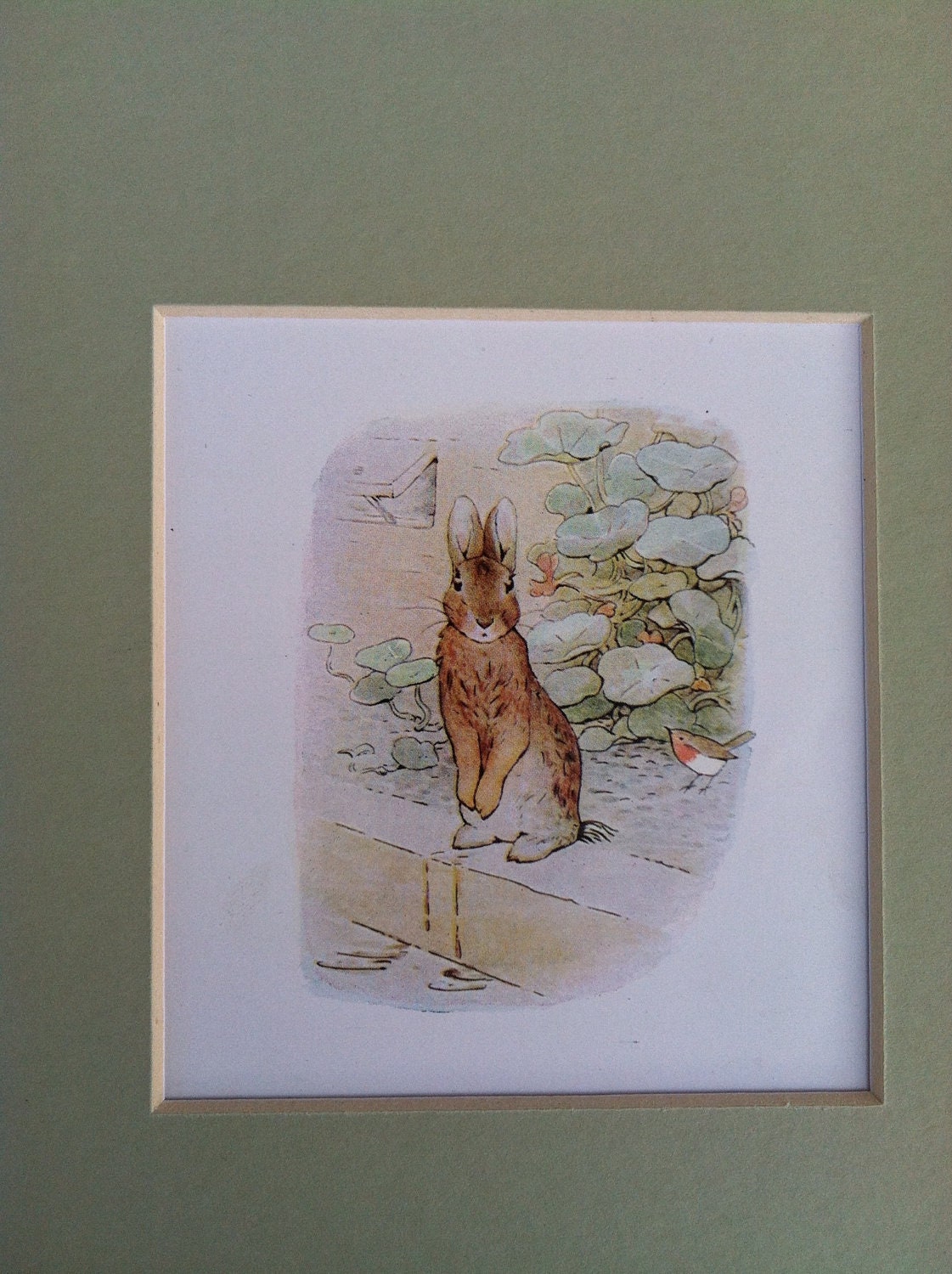 Beatrix Potter book pages print circa 1930 matted sage green three in set