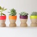 Mini Planters set of 4, Neon Pink, Orange, Purple and Yellow, wedding favors, Spring Decor, As seen in Country Living