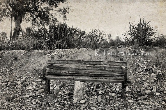 Beach Bench Photo,  Black and White, Old,Wooden,Weathered,Worn, Wall Decor