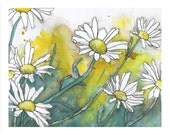 Daisy Flower Painting-  Shasta Daisies- 8x10 Fine Art Print from Watercolor, Pen and Ink Painting