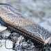 Medieval Elven Archery Bracer Arm Guard etched lightweight armor leather and metal