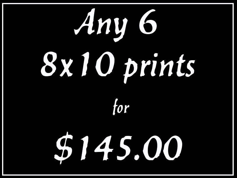Black and White Photography Custom Listing Any 6 Prints in Our Shop Size 8x10 Photography Set