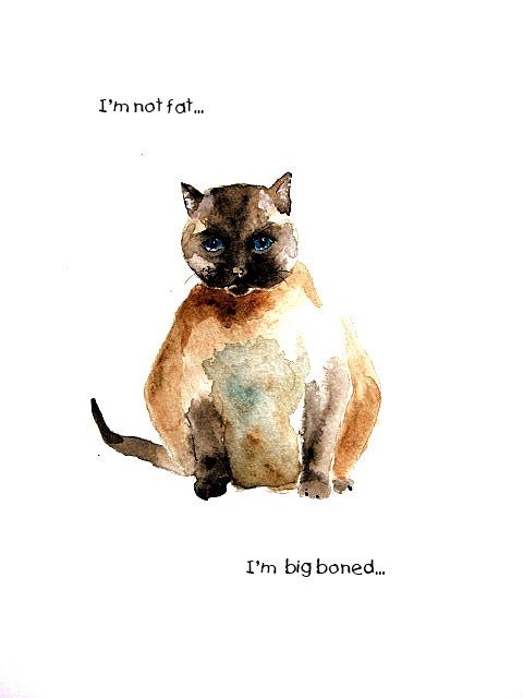 Signed Funny Cat Art Print: I'm not fat...I'