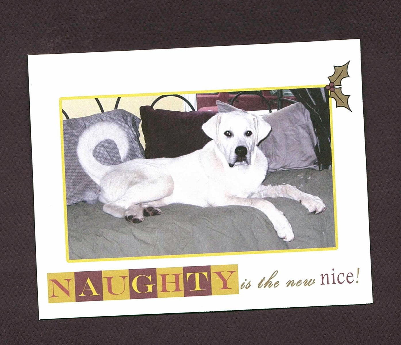 Dog Rescue Holiday Christmas cards - 50% Donation to Great Pyrenees Rescue of Montana (6 cards)