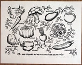 Planche Légumes