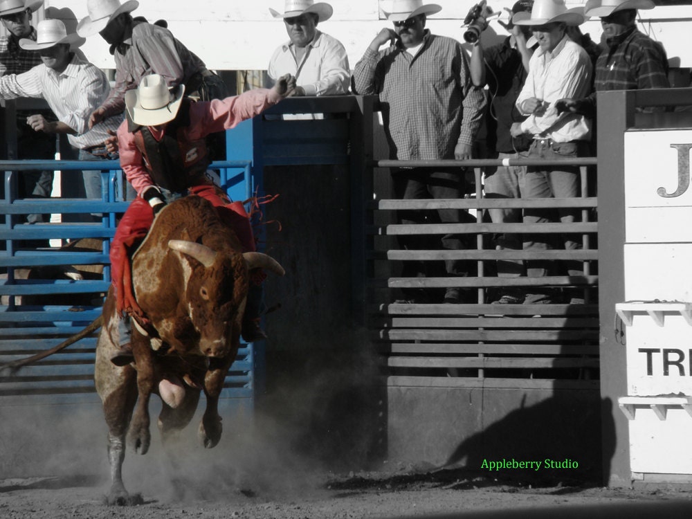 Rodeo Photography Bull Ride