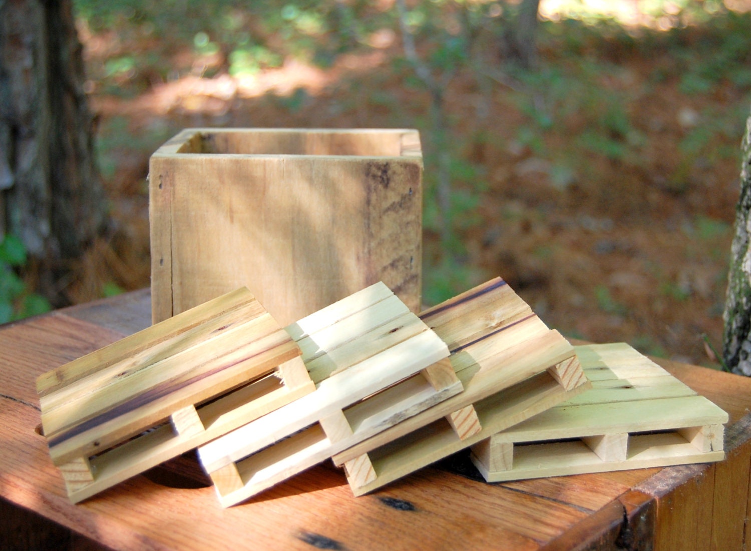 Rustic Pallet Coaster Set