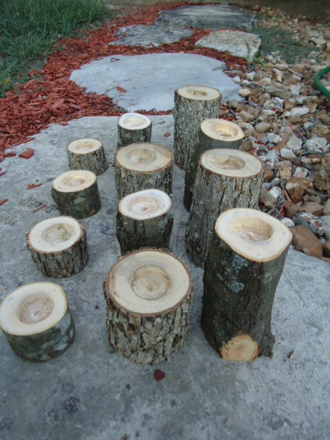 12 Rustic tree branch candle holders sticks for votive candles, weddings, cabins, decoration, decor, natural tree branch,