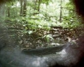 Natures View/ Summer Green/ Giclee Printed/  Handmade Gallery Wraps/ Archival Satin Cloth/ Acid Free/ Limited Edition Pinhole Photography