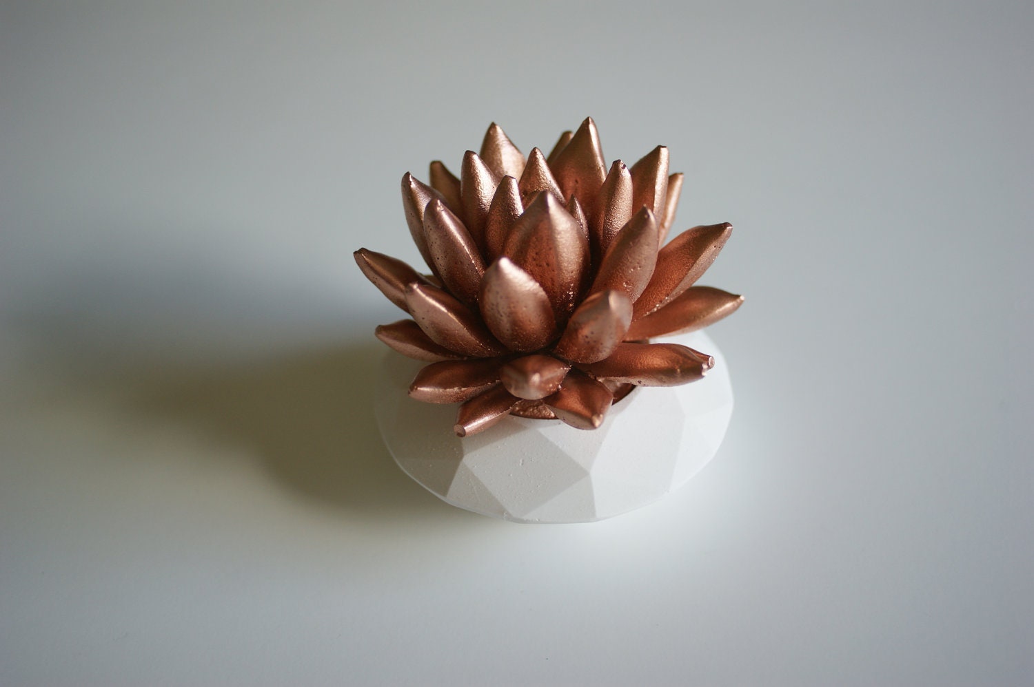 Succulent Sculpture in White Modern Faceted Geometric Container, Spring Tabletop, Wedding Centerpiece