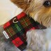 XSMALL Red and Green Plaid Holiday Dog Harness