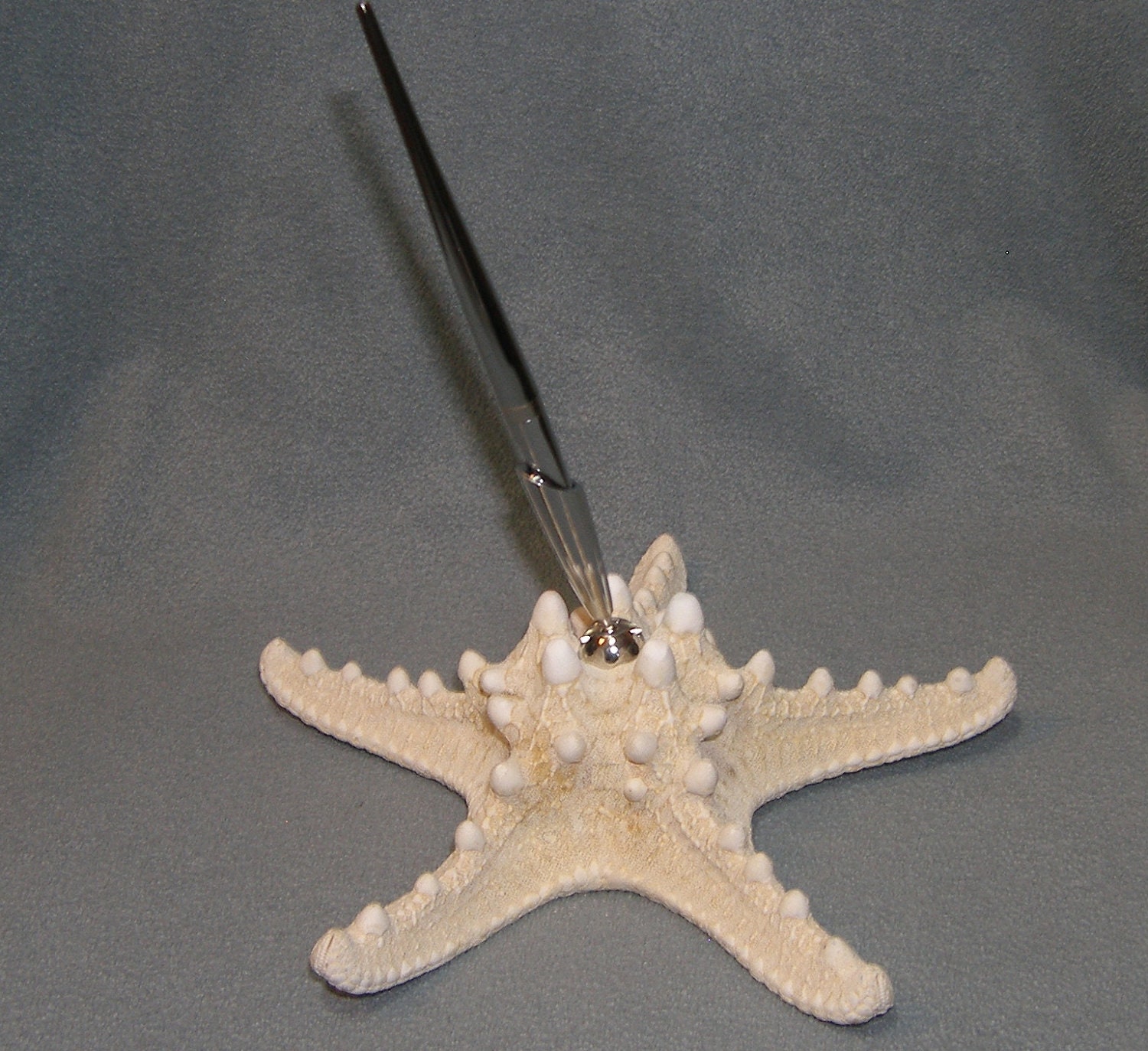 Real Knobby Starfish Beach Wedding Guest Pen for guest book Natural