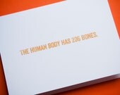 207 Bones - I Like You Card