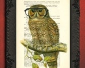 Educated owl wearing glasses art - geekery nerdy owl art print - vintage home decor dictionary print - book page print - owl housewares