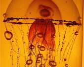 Jellyfish Autumn 5x7 Surreal Floating - Fall - Fine Art Photograph Wall Print B&W Yellow Orange Brown Mustard