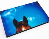 Horses ears. 9" by 6" inche wooden block mounted Lomo Photograph
