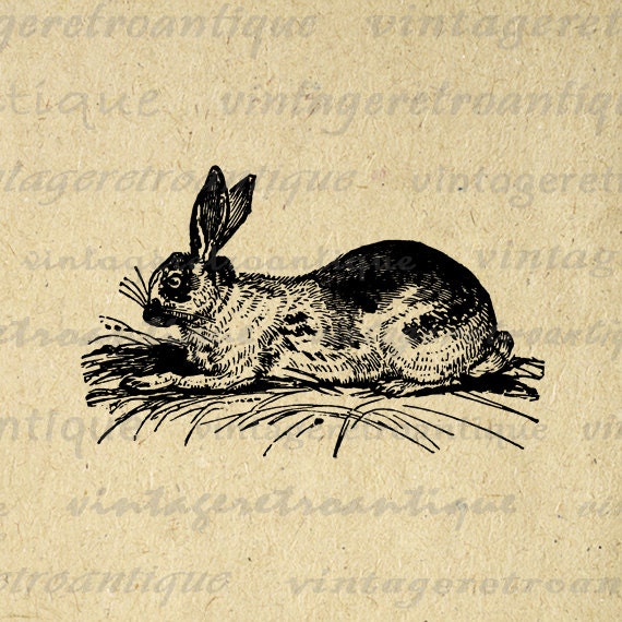 Antique Rabbit Digital Image Download Collage Sheet Bunny Easter Spring Printable Graphic for Transfers etc HQ 300dpi No.2711