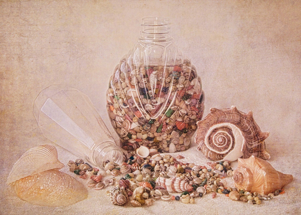 ACEO Print Seashells and Bottle Still Life - VBeaudry